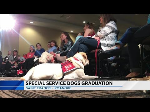 special-service-dogs-graduation