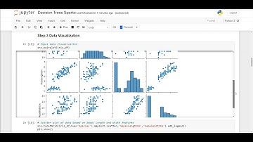 Task 6 Decision Tree For Sparks