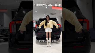 천만원이나 싸게 출시한 수입차! 팰리세이드 어쩌나..