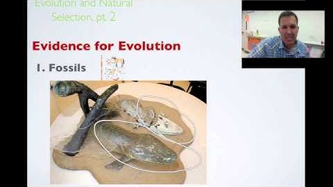 Video-Week23-Evolution&NaturalSelection, pt. 2