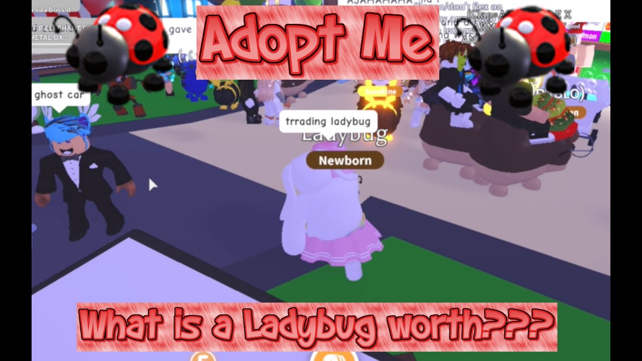 Adopt Me Normal Ladybug 🐞 What people offer??? 🤔