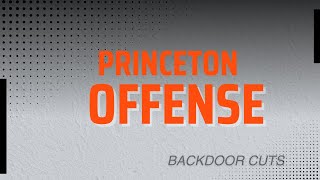 Princeton Backdoor Cuts YouTube Breakdown