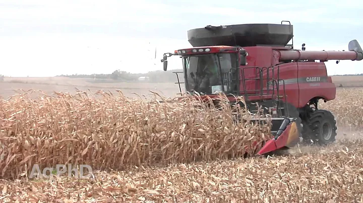 Farm Basics #915 - Chopping Corn Head (Air Date 10/18/15)