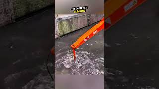 One Day, Millions Earned 😲#shorts