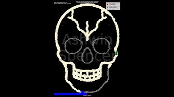 DBSCAN Clustering Animation | White-Green Skull Data Science Visualization