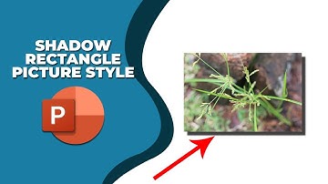 How to add the drop shadow rectangle picture style in PowerPoint
