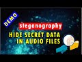 Master Steganography: Hide Secret Data in Any Audio File 🎧