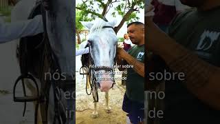 Gargalos e Tradições do Agro Cearense