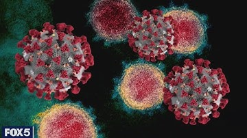 Double-Mutant COVID-19 Variant