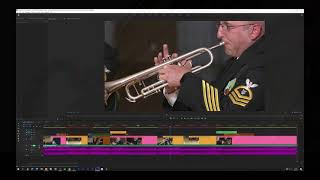Adobe Premiere's Render and Replace feature is missing a key functionality
