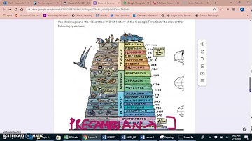 Lesson 2 Time Scale Quiz - Questions Read
