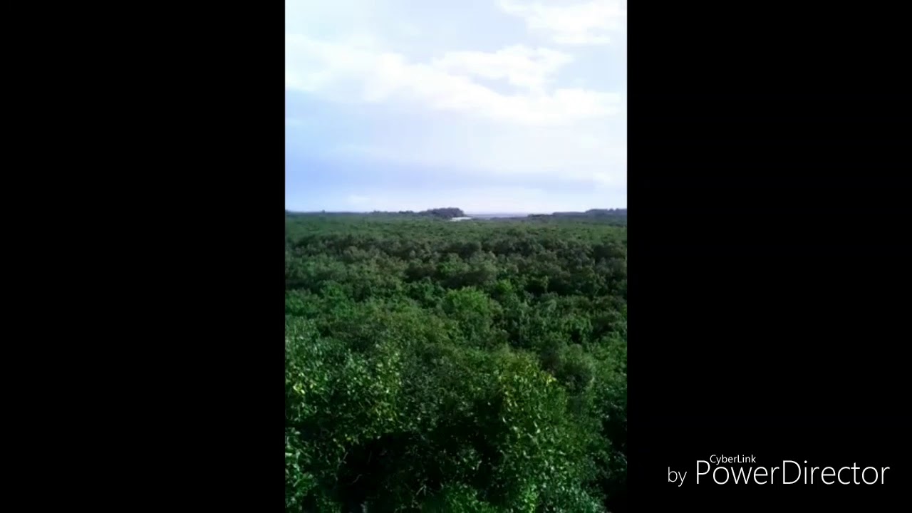 VIEW FROM BAKKHALI HENRY'S ISLAND WATCH TOWER AND BACK.