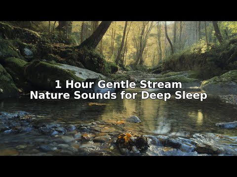 1 Hour of
