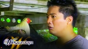 Wansapanataym: Kukurukuku (Smokey Manaloto) | FULL EPISODE 83
