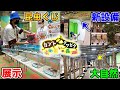 お台場のクワカブイベントに潜入したら楽しすぎた