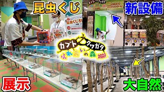 お台場のクワカブイベントに潜入したら楽しすぎた