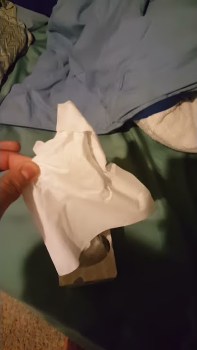 18  Napcivania High(No Hentai) :(
