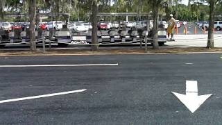 Parked In Happy 89 Holiday Day 5 Disney World