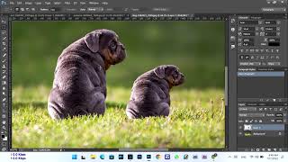 Photo clone app ! How do I clone a photo? screenshot 5