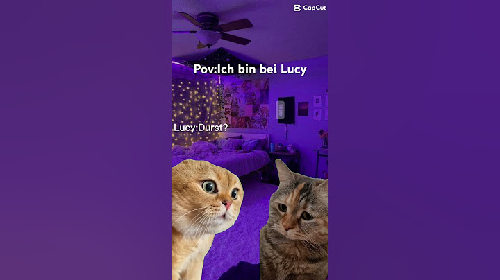 Pov:Ich bin bei Lucy🥲 #fyp #fy #600subs  #600subscriber #catmemes