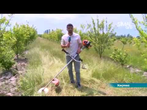 Video: Otbiçən özüyeriyən benzin