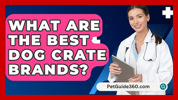 What Are The Best Dog Crate Brands? - PetGuide360.com