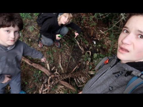 video phone beyonce mp3 EXPLORING HAUNTED FOREST!! (SKELETON FOUND!)