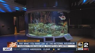 Pay What You Want Day At The National Aquarium