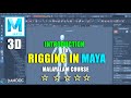 IF YOU WANT TO BE RIGGING ARTIST .THEN TAKE THIS COURSE