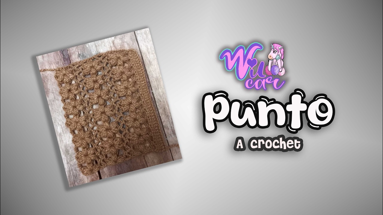 Puntos Tejidos a Crochet Muestra Nro 1