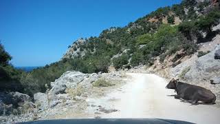 Εύβοια, Όλη η 4X4 Διαδρομή Ως Τα Θαψά - Greece, Evia, Αll the 4X4 trip το the BEACH of THAPSA