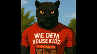 WE DEM HOUSE KATZ .  SONG\
