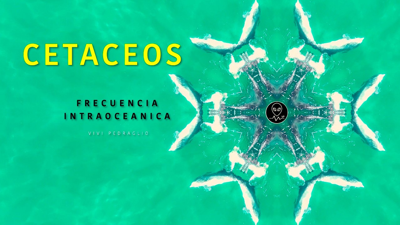 🐬 Китообразные 💙 Внутриокеанская частота