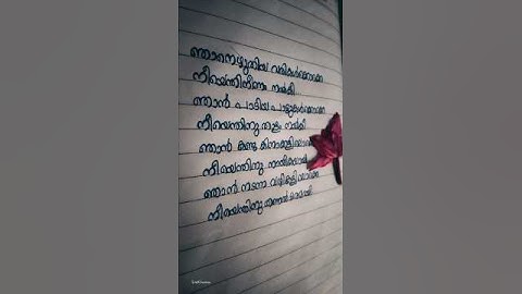 Njan ezhuthiya varikal okke🍃❤️#kavitha #nee💕#levinmuthukad ##lyricvideo #lyrics #music #malayalam