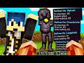 PREPARO STEF PER LA BIG GUERRA NELLA BIG VANILLA SU MINECRAFT!!