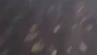 Waar Ben Ik In Beland? Jurassic Park Ofzo