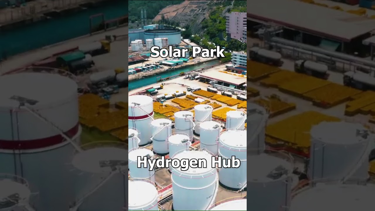 The royal ride of a lifetime 