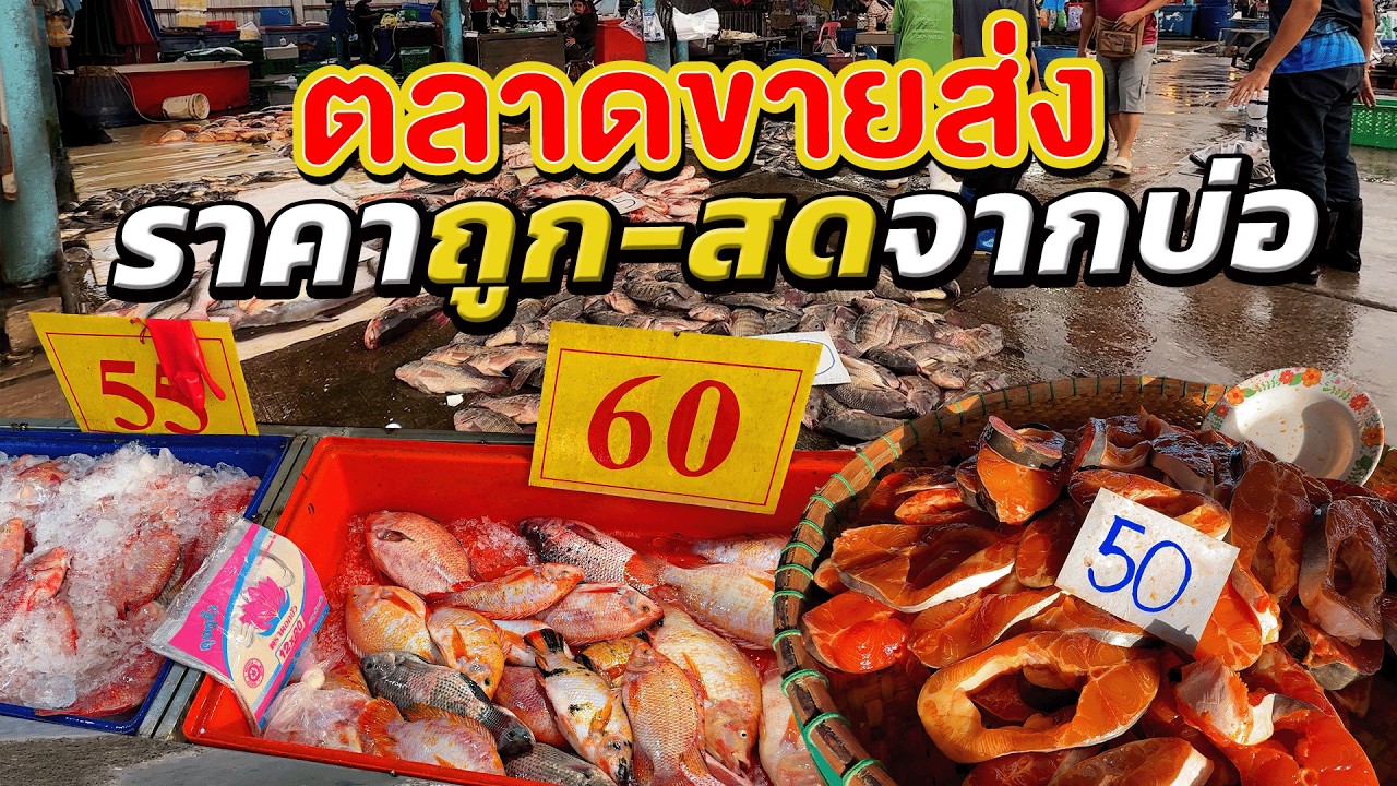 ตลาดเช้าปลาราคาถูก 15 บาทก็ซื้อได้  ซื้อไปกิน-ขายต่อ กำไรดี @finadii