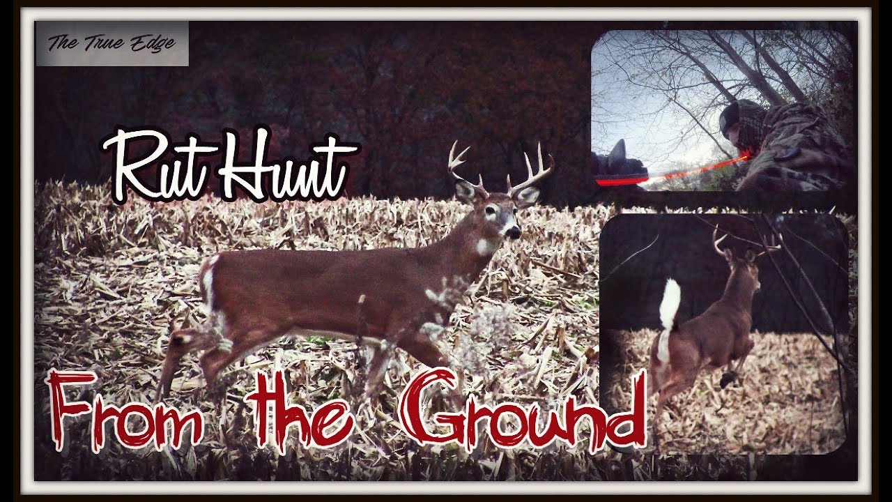 Rattling in Buck Peak Rut Bow Hunt from the ground harvest! YouTube