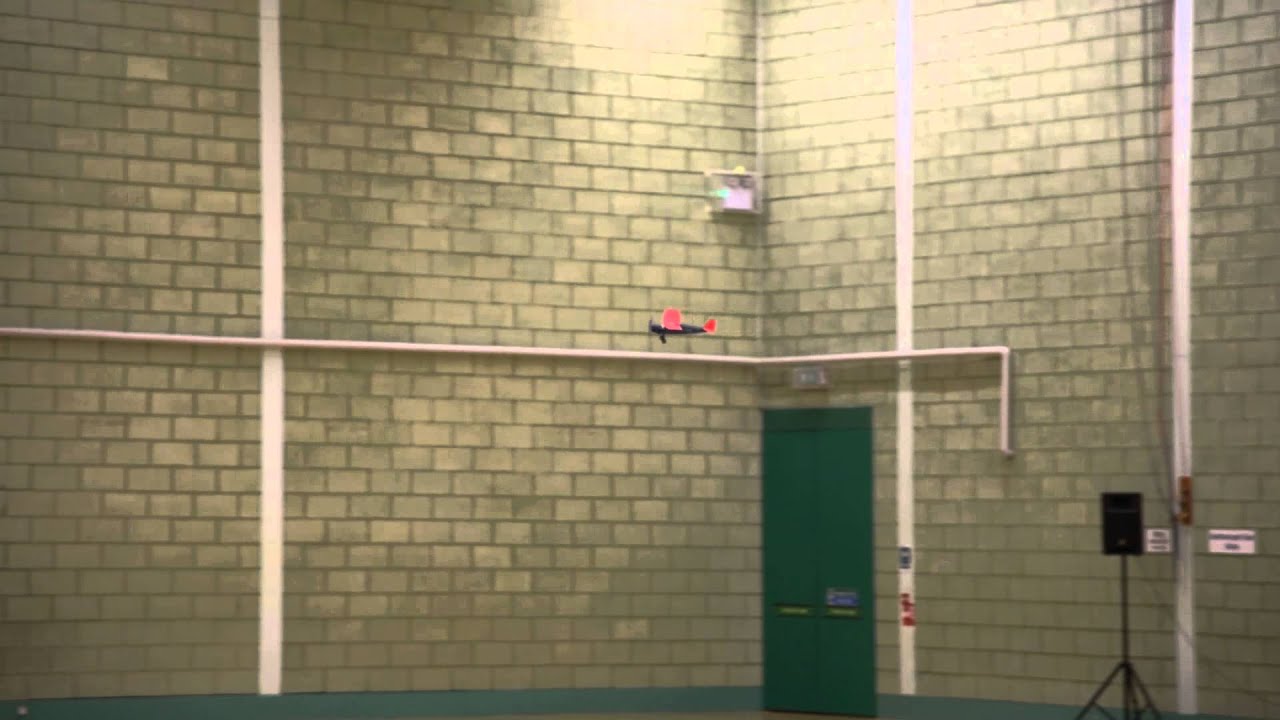 West Wings Puss Moth