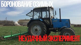 НЕУДАЧНЫЙ ЭКСПЕРИМЕНТ : Боронование озимых культур.