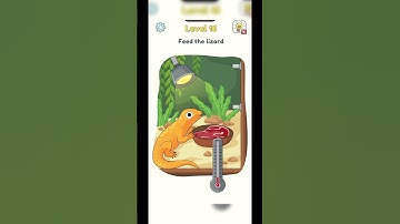 Level 5 dop 16 #puzzle#gaming#walkthrough #shorts#puzzle#games #viralvideo