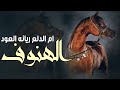 شيله مدح الهنوف فقط ام الدلع والزين ريانه العود شيله باسم الهنوف شيله العنود مجانيه جديد متعب الخيل 