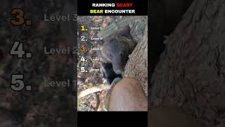 Ranking Scary Bear Encounter Ranking Scary Bear Encounter