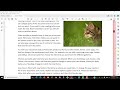 Middle of video
