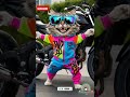 Cat Funny Dance 34 Cat Cats Viral Short Shorts Trending Funnycats Al Cuteanimas