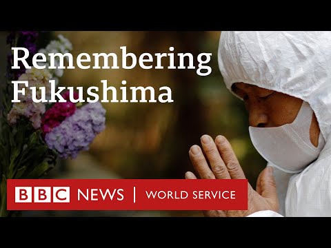 What happened at Fukushima 10 years ago? BBC World Service