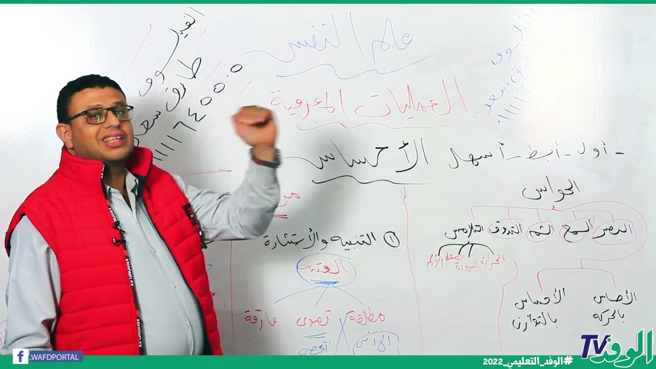 العمليات المعرفية - علم نفس - الصف الثاني الثانوي