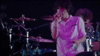 アダルトスーツ