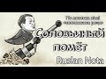 СОЛОВЬИНЫЙ ПОМЁТ Ruslan Nota Feat Людмила Клименко